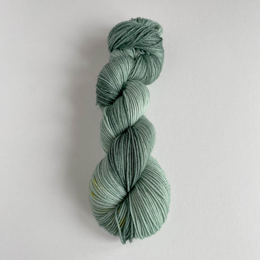 Hand Dyed Yarn - Merino Nylon DK - Fern